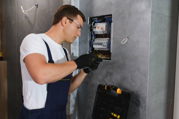 Best Electric Panel Repair  in Weimar, TX